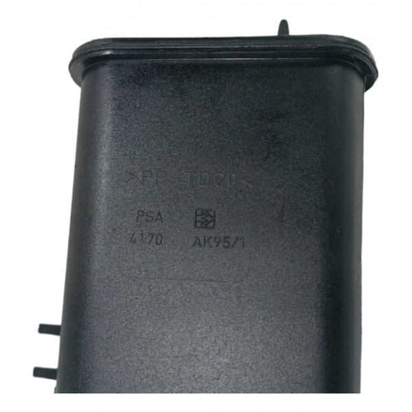 Filtro Canister Citroen C4 Picasso Peugeot 307 1.6 2007 2016