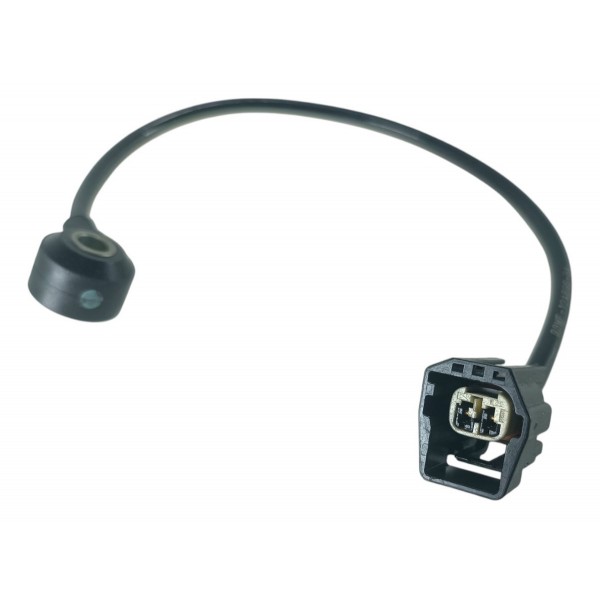 Sensor Detonação Ford Fiesta/ka/focus/ecosport 1.6 2015/18
