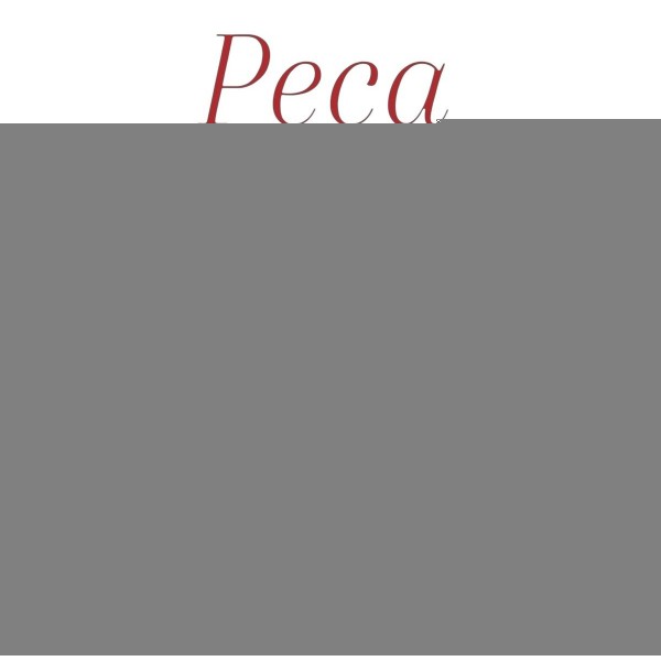 Porta Objeto Com Moldura Mercedes B200 2012  A 2017