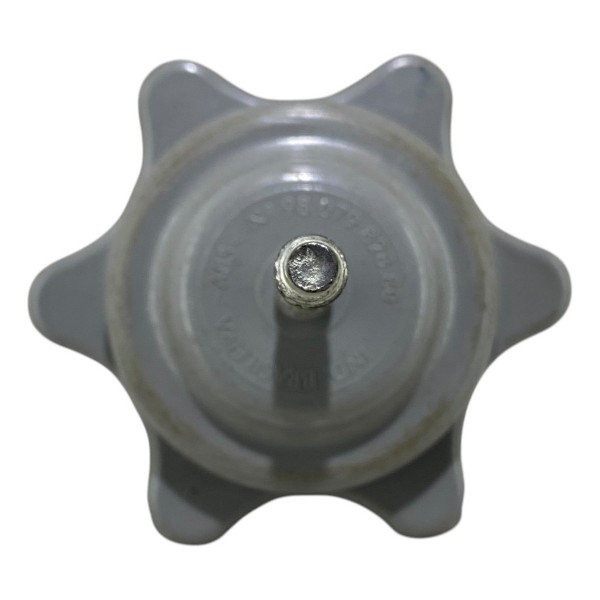 Parafuso Fixador Espete C4 Cactus C4 Pallas 2008 A 2020