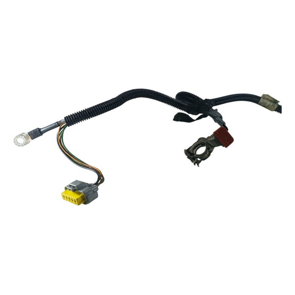 Chicote Polo Positivo Cabo Citroën C4 Pallas 2.0 2008 A 12
