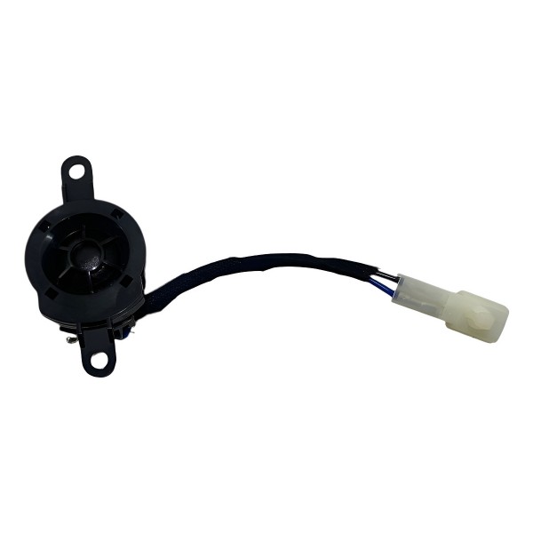 Twitter Porta Ford Territory 1.5 2024 2025 Titanium Preto