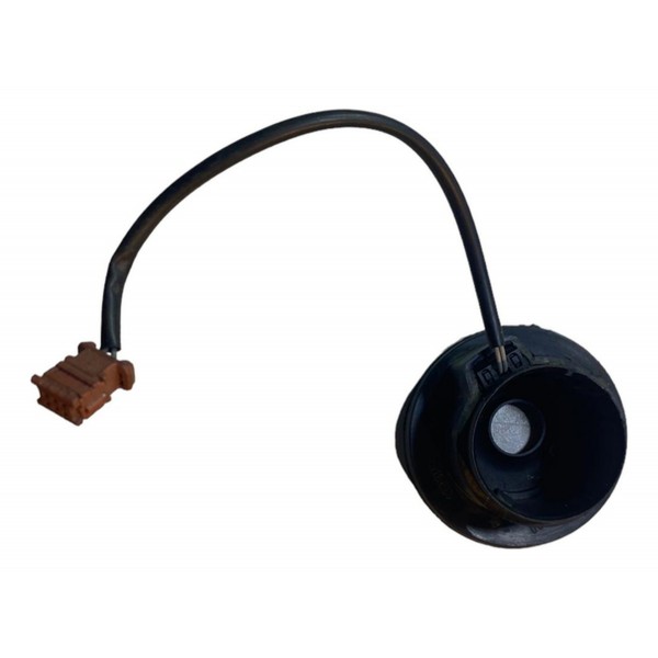 Borracha Antena Imobilizador Peugeot  206 2006 A 2010