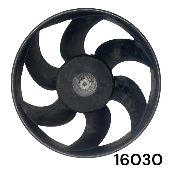Eletroventilador Ventoinha Do Radiador Peugeot 306 16130
