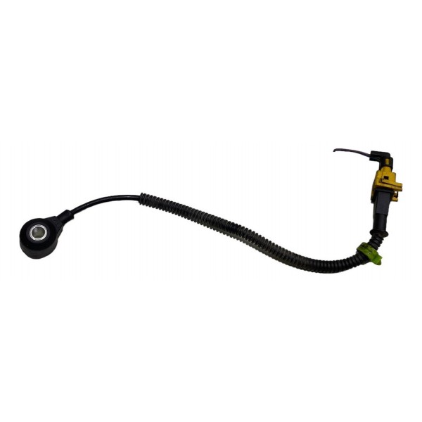 Sensor De Detonação Fiat Argo Toro Renegade 1.8 2018 A 2022