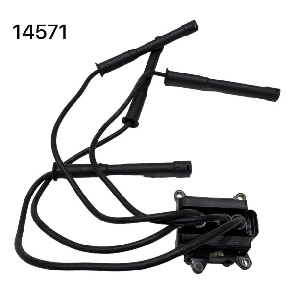 Bobina Ignição Peugeot 206 1.0 2001 A 2004 14571
