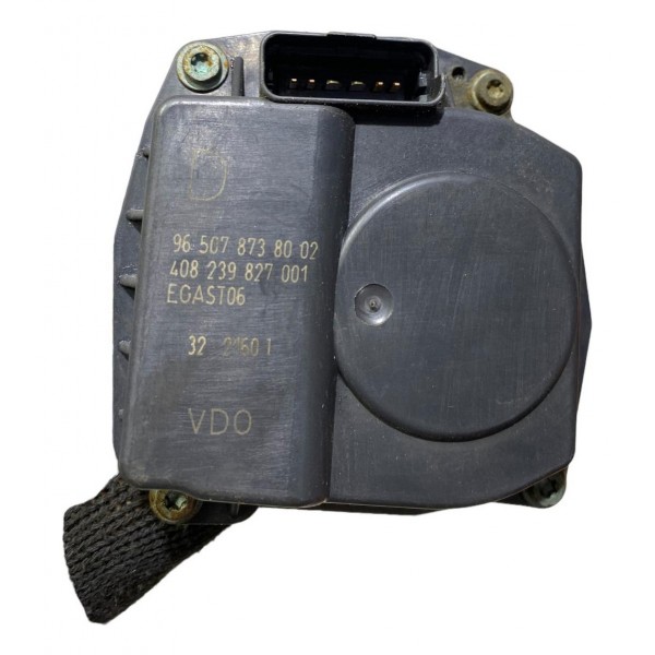Corpo Borboleta Tbi C4 307 2.0 2007 A 2016 14551