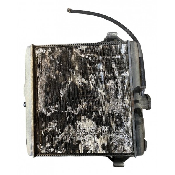 Radiador Agua Gm Chevette 1989 *13017 Pr119